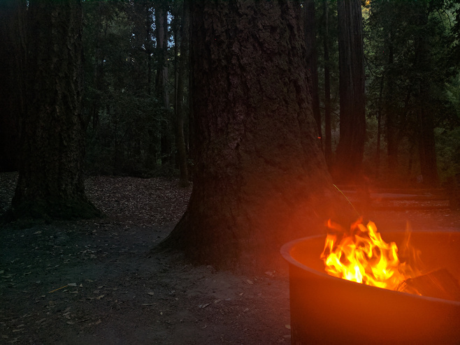 Campfire at Big Basin